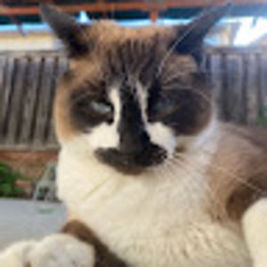 Meet your Posher, Sofia